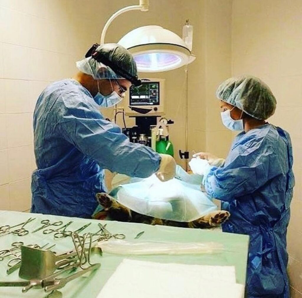 Atención preventiva y vacunas